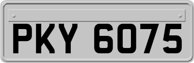 PKY6075
