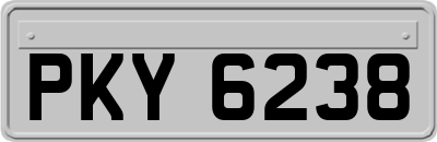 PKY6238
