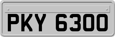 PKY6300