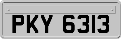 PKY6313