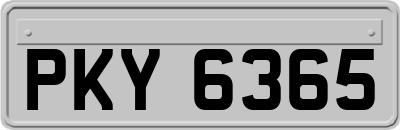 PKY6365