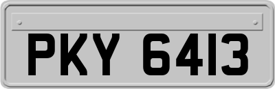 PKY6413