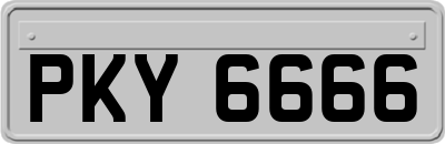 PKY6666
