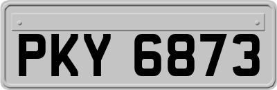 PKY6873