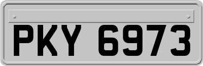 PKY6973