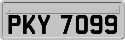 PKY7099