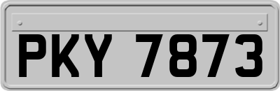 PKY7873