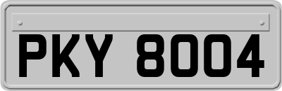 PKY8004