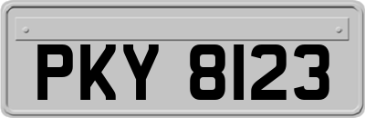 PKY8123