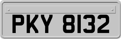 PKY8132