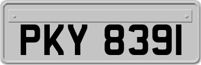 PKY8391