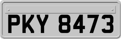PKY8473