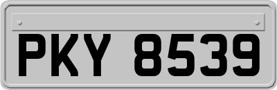 PKY8539