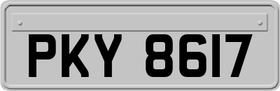 PKY8617