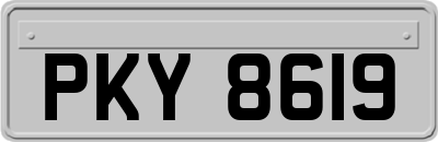 PKY8619