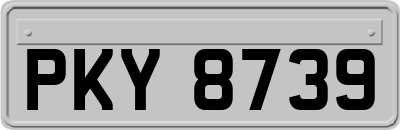 PKY8739