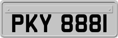 PKY8881