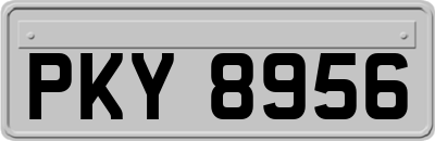 PKY8956