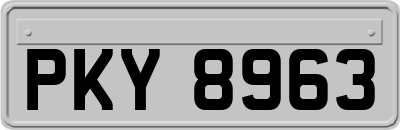 PKY8963