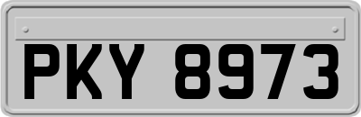 PKY8973