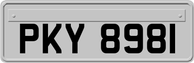 PKY8981