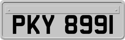 PKY8991