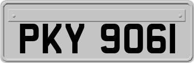 PKY9061