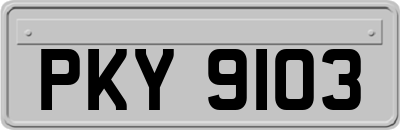 PKY9103