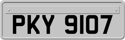 PKY9107
