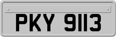 PKY9113