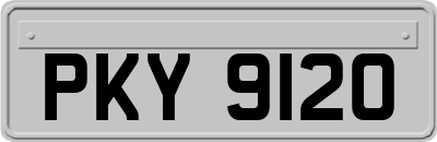 PKY9120