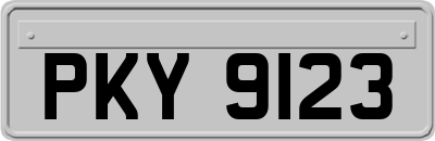 PKY9123