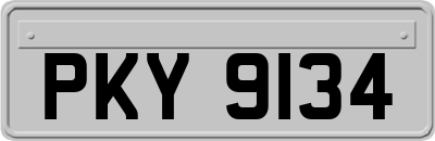 PKY9134