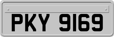 PKY9169