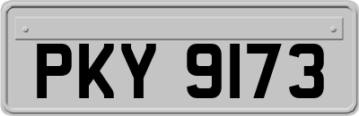 PKY9173