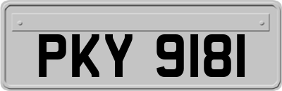 PKY9181