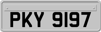 PKY9197