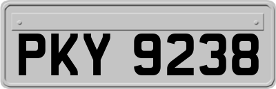 PKY9238