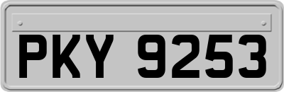 PKY9253
