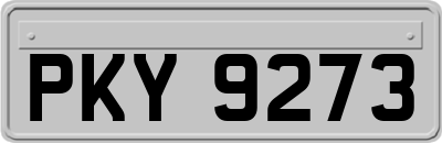 PKY9273