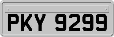 PKY9299