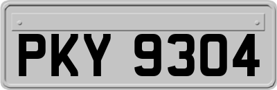 PKY9304