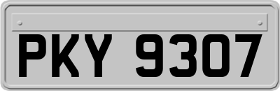 PKY9307