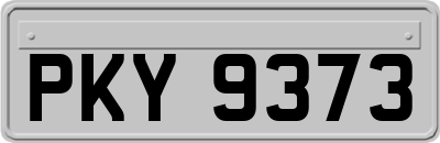 PKY9373