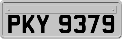 PKY9379