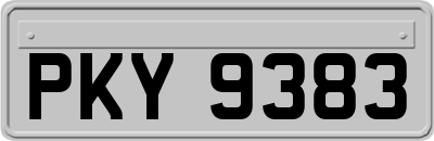 PKY9383