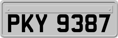 PKY9387