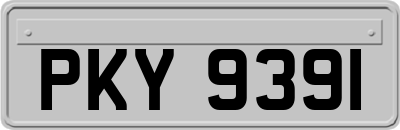 PKY9391