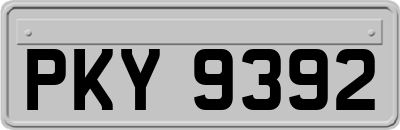 PKY9392