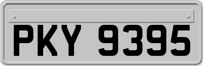 PKY9395
